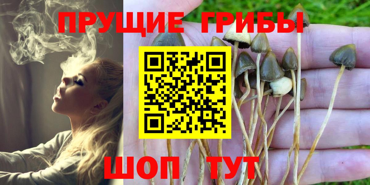 Псилоцибиновые грибы мухоморы  Вход с VPN  Псилоцибиновые грибы ЛСД  Ковров 