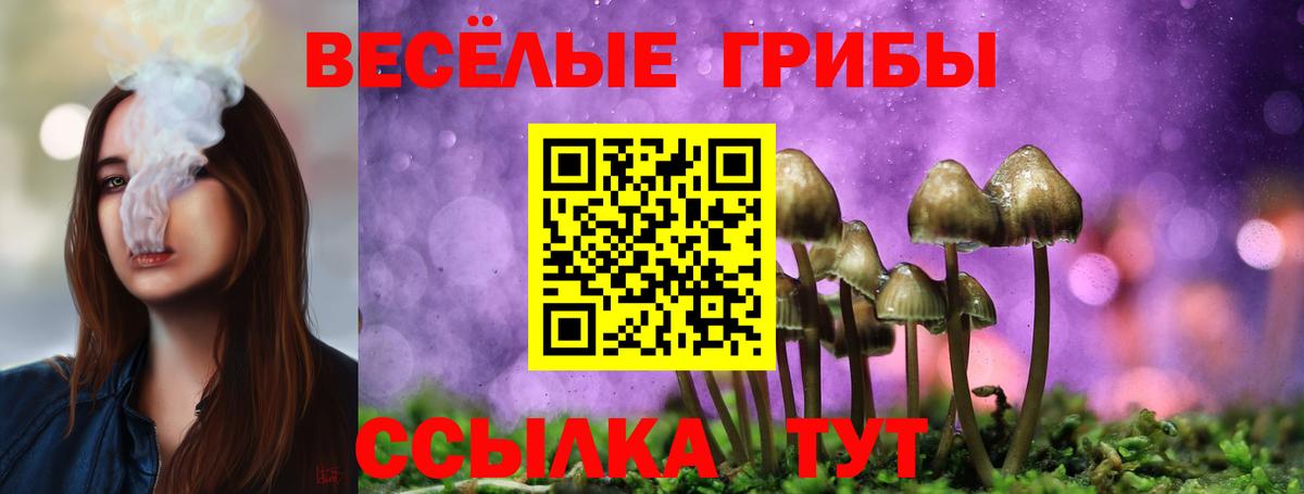 Псилоцибиновые грибы мицелий Ковров